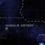 map.png
